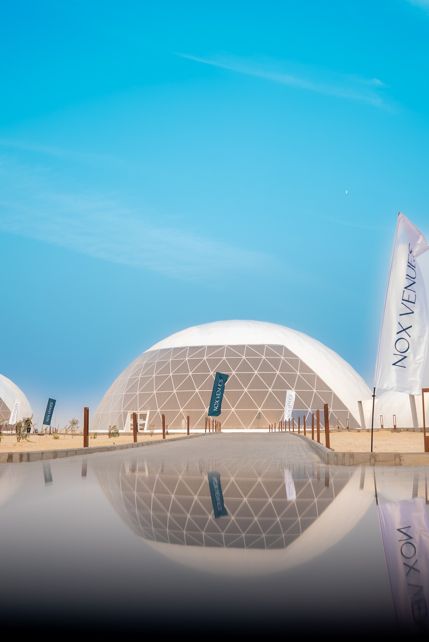 صور فينيوز — 5